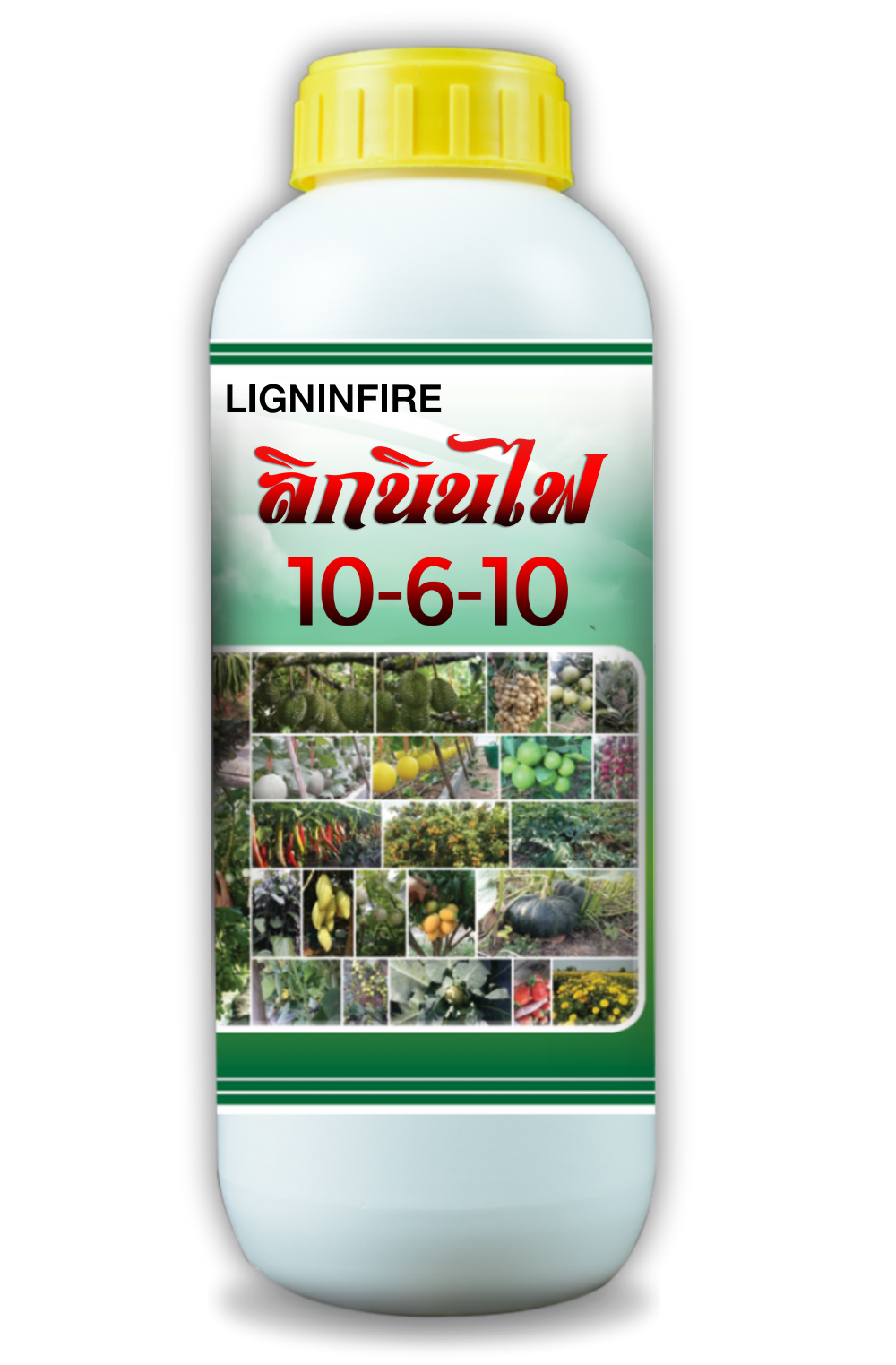 medium_product-10-6-10.png